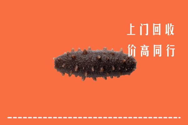 高价求购：忻州五台县回收海参