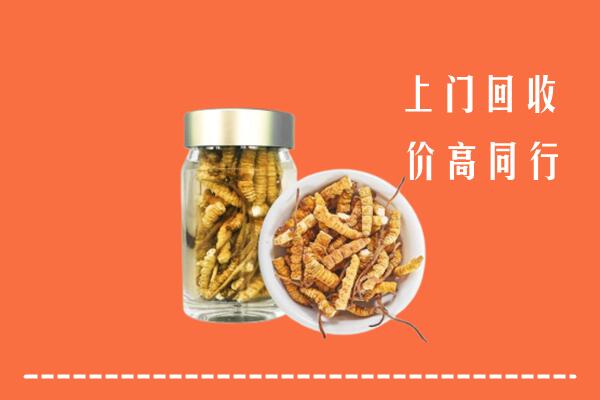忻州五台县回收冬虫夏草