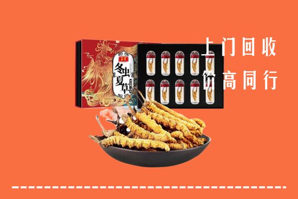 忻州五台县回收虫草